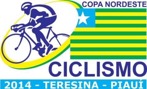 Copa Nordeste - Logo